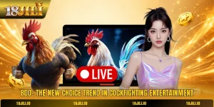 BDD- The New Choice Trend In Cockfighting Entertainment