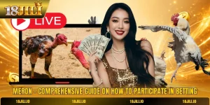 Meron - Comprehensive Guide On How To Participate In Betting