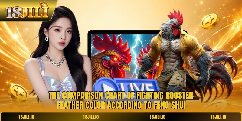 The comparison chart of fighting rooster feather color according to feng shui